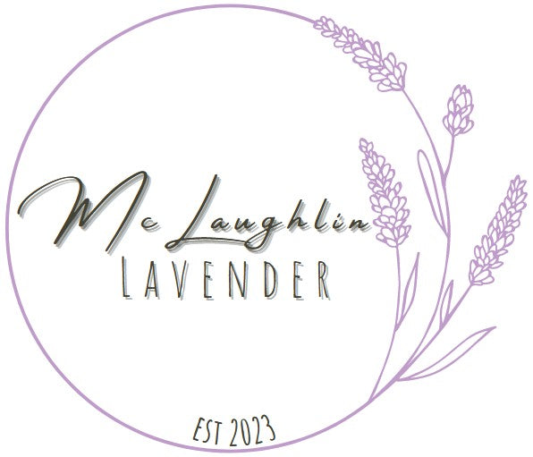 McLaughlin Lavender McLaughlin Lavender and Little Lavender Boutique